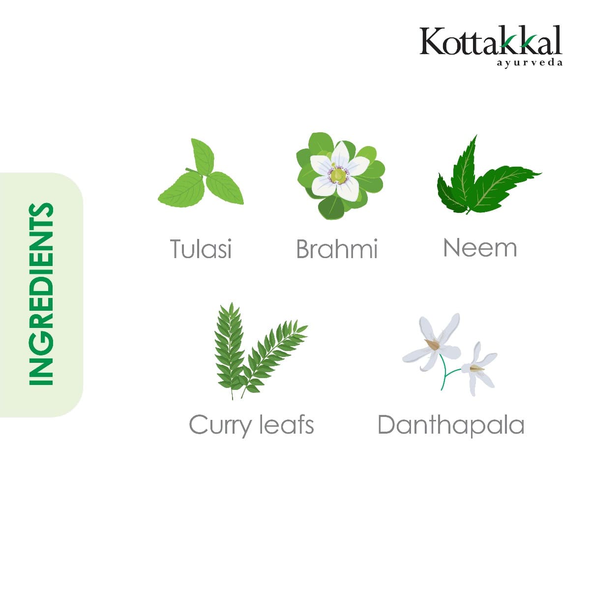 Kottakkal Ayurveda Anti Dandruff shampoo-100Ml thumbnail 2