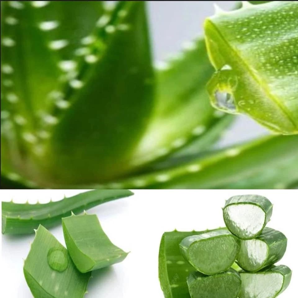 ALOEVERA POWDER 30GM thumbnail 2